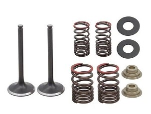 PSYCHIC IZDUVNI VENTILI (SET SA OPRUGAMA I PODLOŠKAMA) HONDA CRF 250 F '19-'24 ČELIČNE