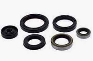 WINDEROSA (VERTEX) KOMPLET (SET) SEMERINGA MOTORSKIH YAMAHA TTR90 00-08