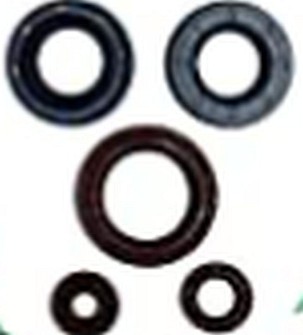 WINDEROSA (VERTEX) KOMPLET (SET) SEMERINGA MOTORSKIH CAN-AM OUTLANDER DPS 450 EFI 15-20, OUTLANDER MAX DPS 450 EFI 15-20, DEFENDER 500 17-20, DEFENDER 500 DPS 17-20, DEFENDER 500 DPS CAMO 17, OUTLANDER MAX 450 6X6 19-20 - ZAMENJUJE 822998