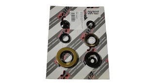 BEARING WORX KOMPLET (SET) SEMERINGA MOTORSKIH SUZUKI RM 250 '03-'05 (822227)