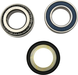 ALL BALLS LEŽAJEVI GLAVE RAMA SA SEMERINZIMA INDIAN FTR 1200/RALLY '19-'24,