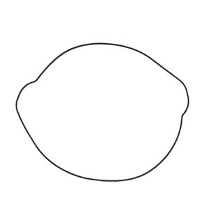 PROX ZAPTIVKA POKLOPCA KVAČILA SPOLJNA KTM SX 250F/350F '16-22, HUSQVARNA FC 250 '16-22 (NX-70091CG2)