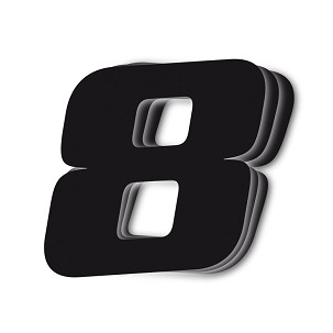 BLACKBIRD BROJEVE STARTOWE 25CM X 20CM KOSE, BOJA CRNA NR8 (3KOM.)