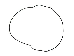 NAMURA ZAPTIVKA POKLOPCA KVAČILA (ORING) YAMAHA YZF 450 '10-'17, WRF 450 '16-'17 (SPOLJNA) (OEM-33D-15453-00-00)