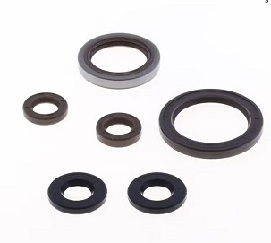 ATHENA KOMPLET (SET) ZAPTIVAČA MOTORA TRIUMPH TF 250 - C '26-, TF - E 250 '25, TF 250 - X '24-'26