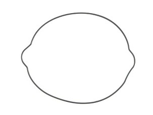 NAMURA ZAPTIVKA POKLOPCA KVAČILA KTM SX 250 '03-16, EXC 250 '04-16, FREERIDE 250 '14-17, EXC 300 '04-07 (SPOLJNA) (O-RING) (54830025000,55130027000)