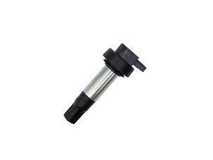 ASTEMO 2026/01 KALEM PALJENJA BMW K 1600 B / GT / GTL '11-'21 (OEM: 12137722679)