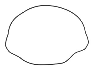 NAMURA ZAPTIVKA POKLOPCA KVAČILA HONDA XR 400R '96-04 (SPOLJNA) (91311-KCY-670)