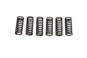 JR RASPRODAJA EBS OPRUGE ZA KVAČILO HONDA CRF 450R 02-03, CRF 450R 06-08 (6 KOMAD)