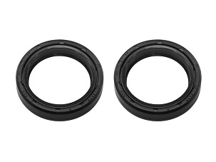 PSYCHIC SEMERINZI PREDNJEG VEŠANJA ULJNE 41X54X11 MM (55-119;ARI047)