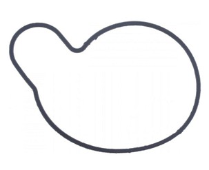 ATHENA ZAPTIVKA OBUDOWY PUMPE VODE SUZUKI VX 800 '90-'97, VL 800 '05-'17