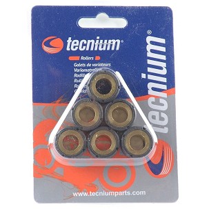 TECNIUM (VICMA) ROLE VARIJATORA 19X15 6,5G 6KOM. (3940)