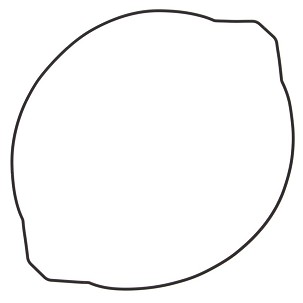 WINDEROSA (VERTEX) ZAPTIVKA POKLOPCA KVAČILA YAMAHA YZ 250 99-19 (ORING) (SPOLJNA)