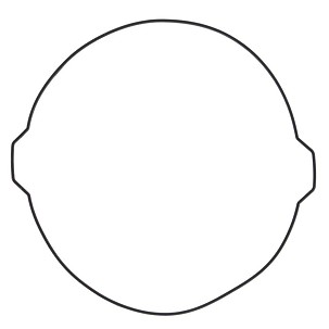 WINDEROSA (VERTEX) ZAPTIVKA POKLOPCA KVAČILA KTM SX-F450(SXF450),XC-F 07-12, SXF505, (XCF505) '08-'09 (ORING) (SPOLJNA)