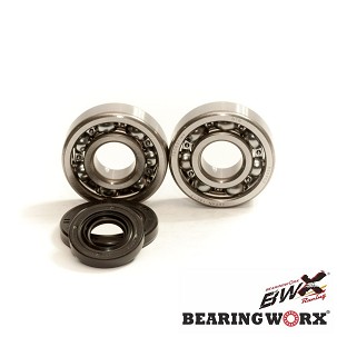 BEARING WORX LEŽAJEVI VRATILA KOLENASTOG SA SEMERINZIMA KTM SX 65 09-26, (NTN) (MADE IN JAPAN) (24-1103)