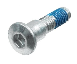 TRW ZF ŠRAFOVI DISKA KOČIONE PREDNJI / ZADNJI SUZUKI GSX 600 / 650 / 750 / 1200 / 1400, GSX-R 400 / 600 / 750, SV 650 / 1000, TL 1000 S / R, VZ 800 MARAUDER, GSF 400 / 600 / 650 / 1200 BANDIT (M8 X 1,25 DUŽ. 37,8MM) (KPL. 5 KOM.)