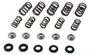 HOT CAMS SET OPRUGA VENTILSKIH YAMAHA YFM 660 01-05 - ZA OSOVINE RAZVODA HC 4005-2 I HC 4005-3